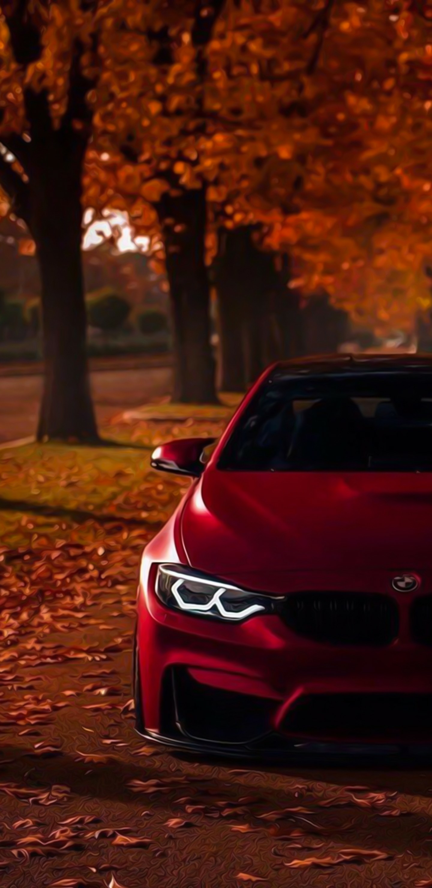 全面屏手机壁纸-骚红色的车