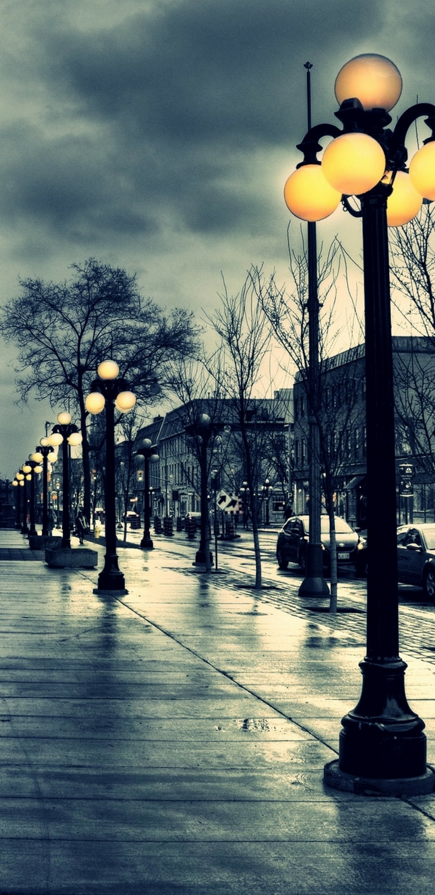 全面屏手机壁纸-风景17