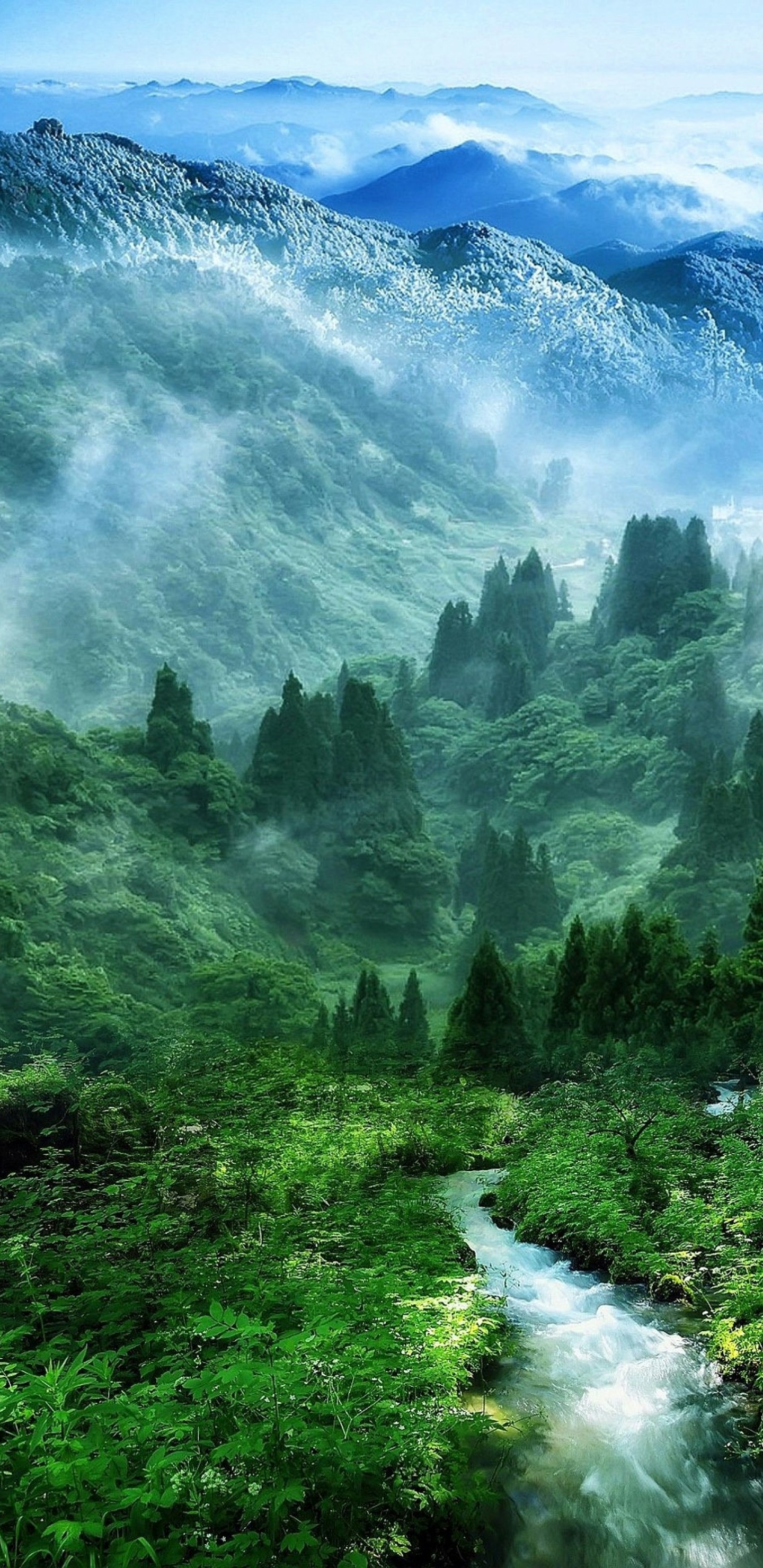 全面屏手机壁纸-青山绿水