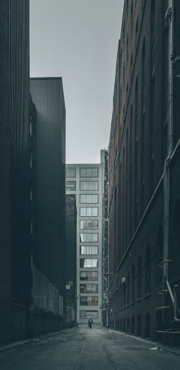 全面屏手机壁纸-繁华城市高楼