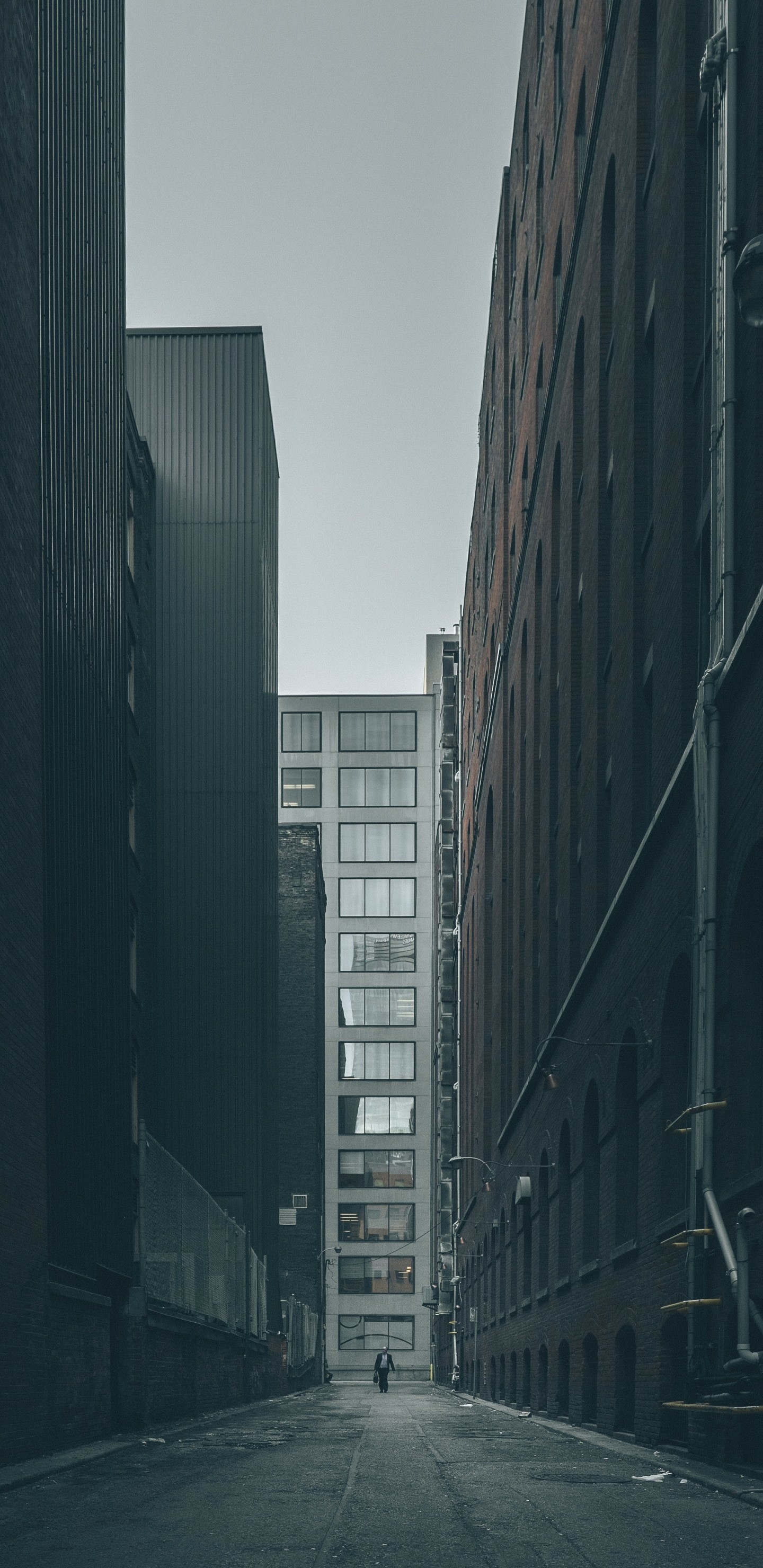 全面屏手机壁纸-繁华城市高楼