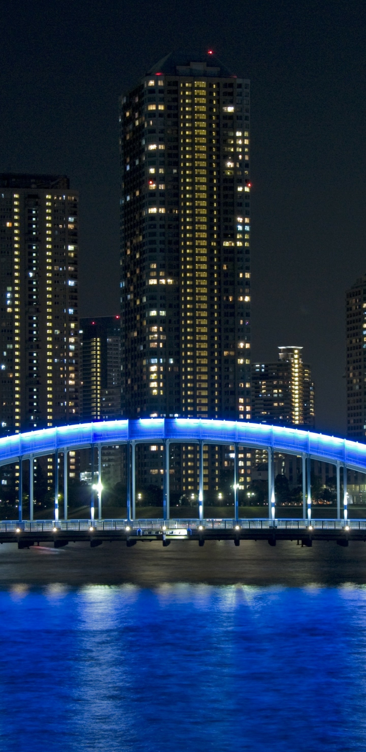 全面屏手机壁纸-城市高楼