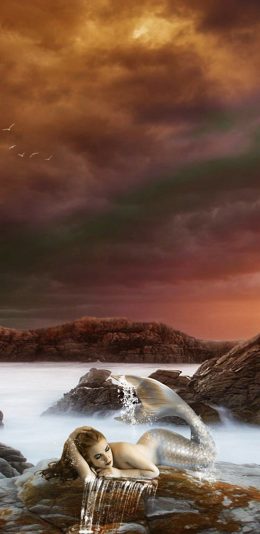 2017年12月31日更新-美人鱼吗