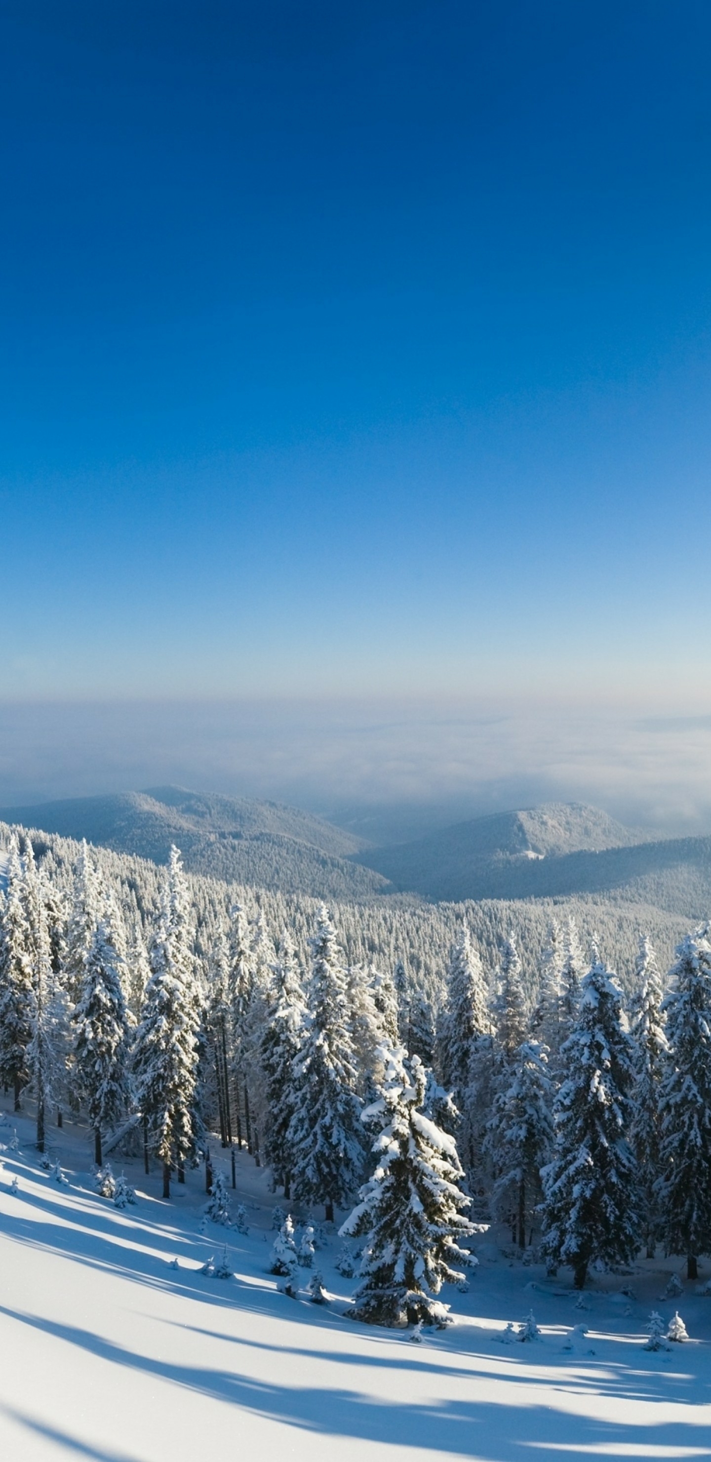 2017年12月31日更新-雪山