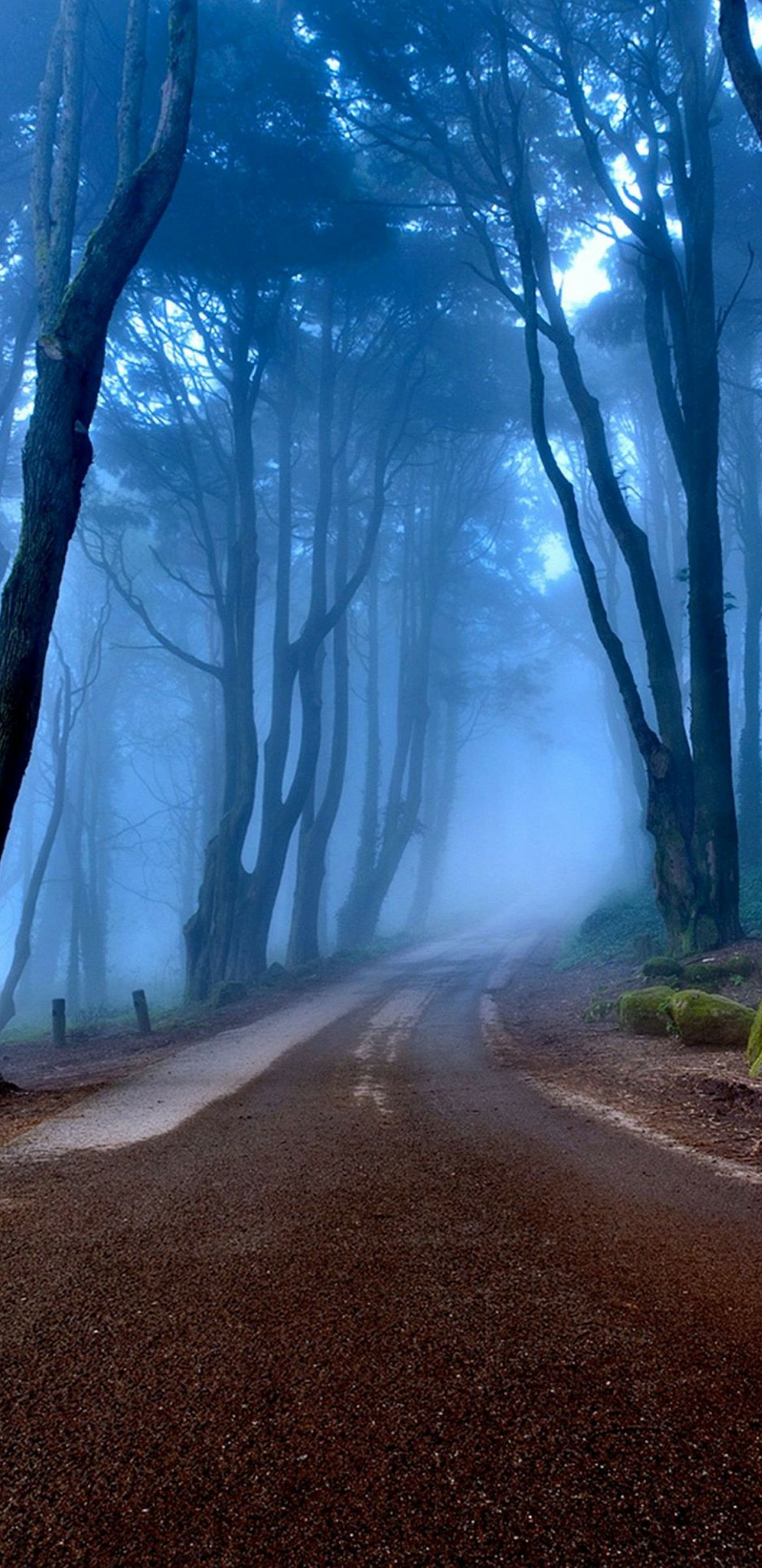 2017年12月31日更新-深山