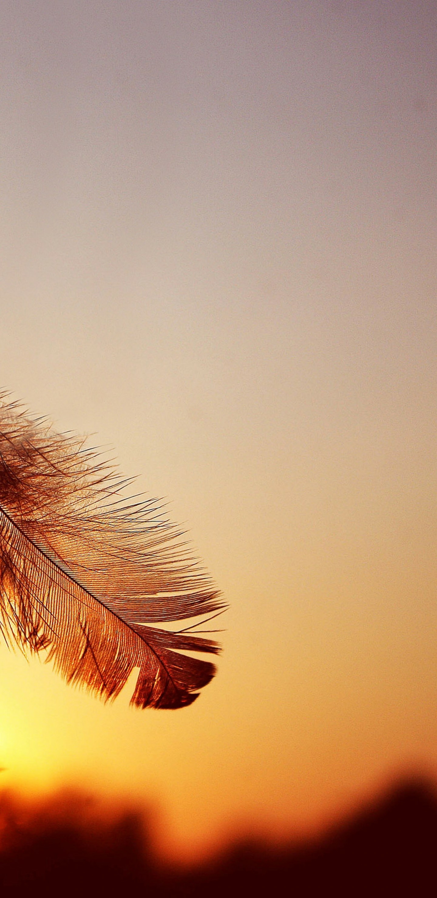 2017年12月31日更新-黄昏