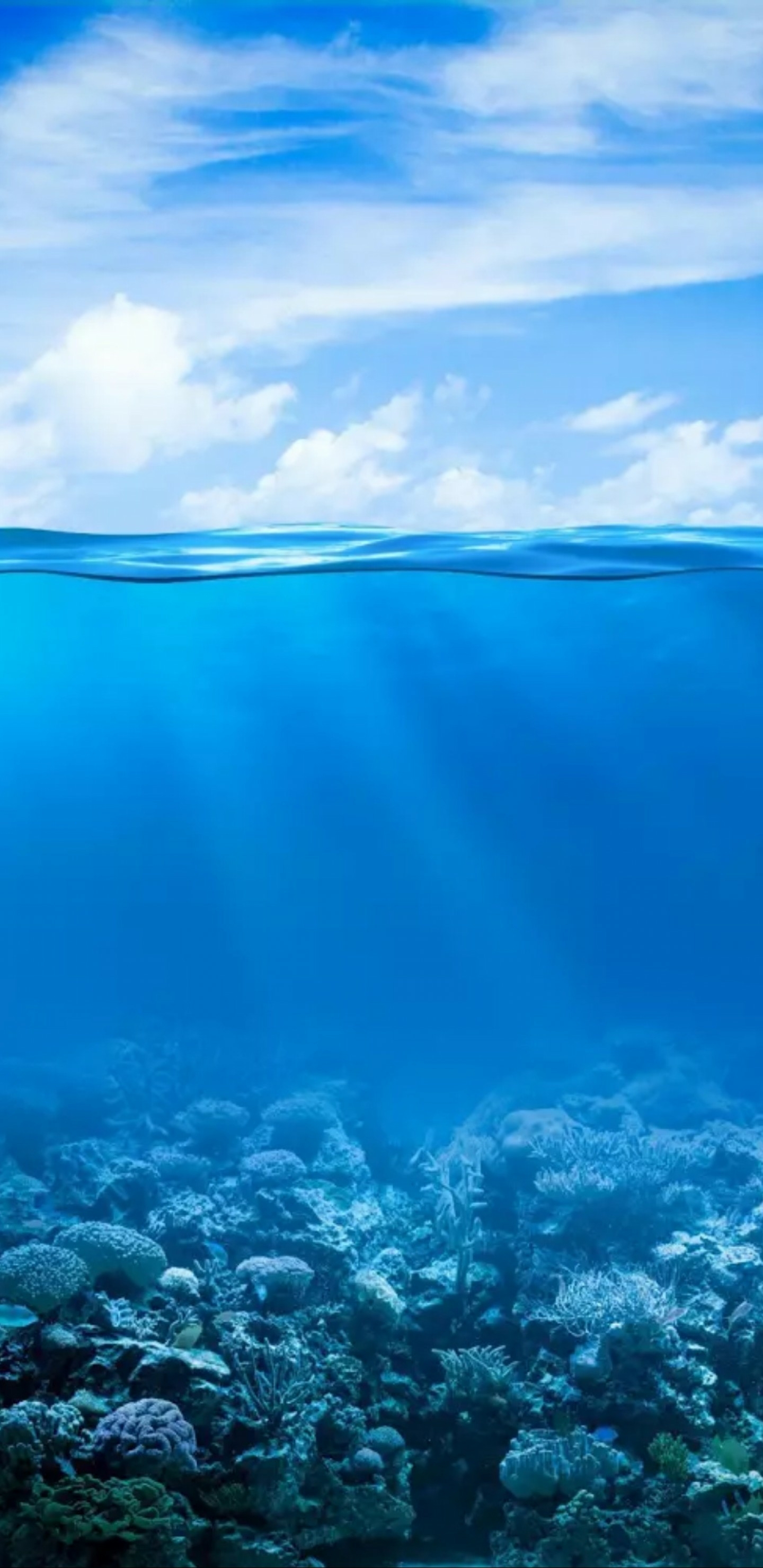 2017年12月31日更新-蓝色的海底