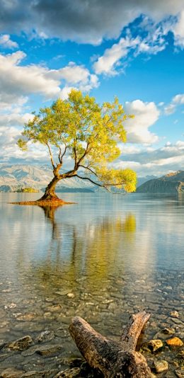 2017年12月31日更新-风景壁纸