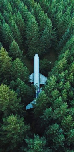 全面屏手机风景壁纸2018年2月19日更新（15）