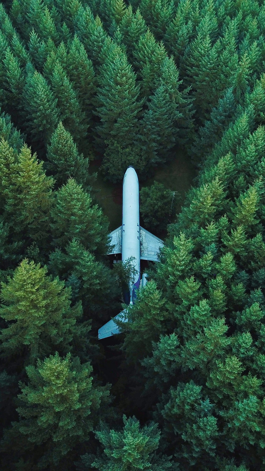 全面屏手机风景壁纸2018年2月19日更新（15）