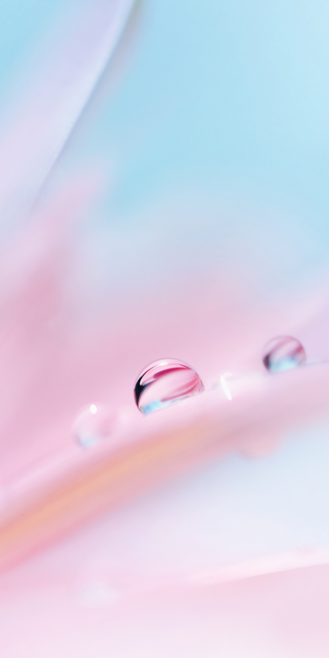 华为P20全面屏壁纸（11）