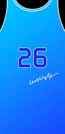 Vivo X21/Y85刘海壁纸(2160 x 1920)