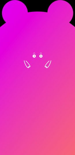 Vivo X21/Y85刘海壁纸(2160 x 1920)第三张