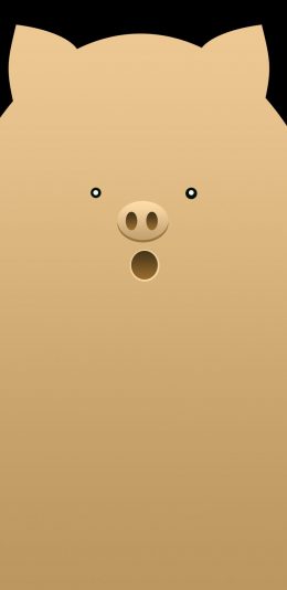 Vivo X21/Y85刘海壁纸(2160 x 1920)第八张