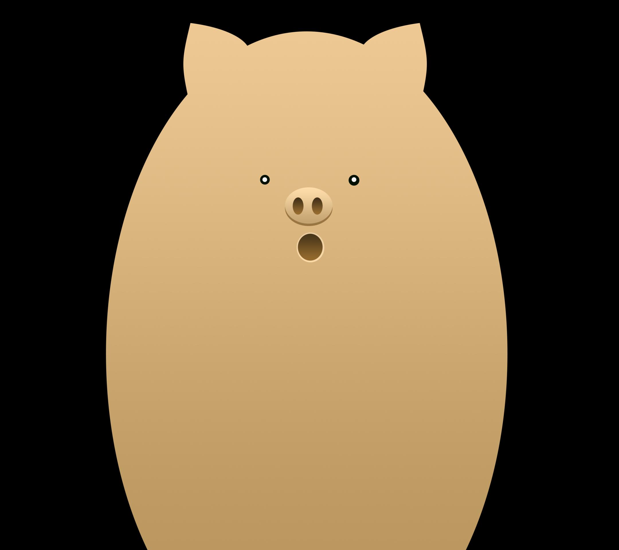 Vivo X21/Y85刘海壁纸(2160 x 1920)第八张