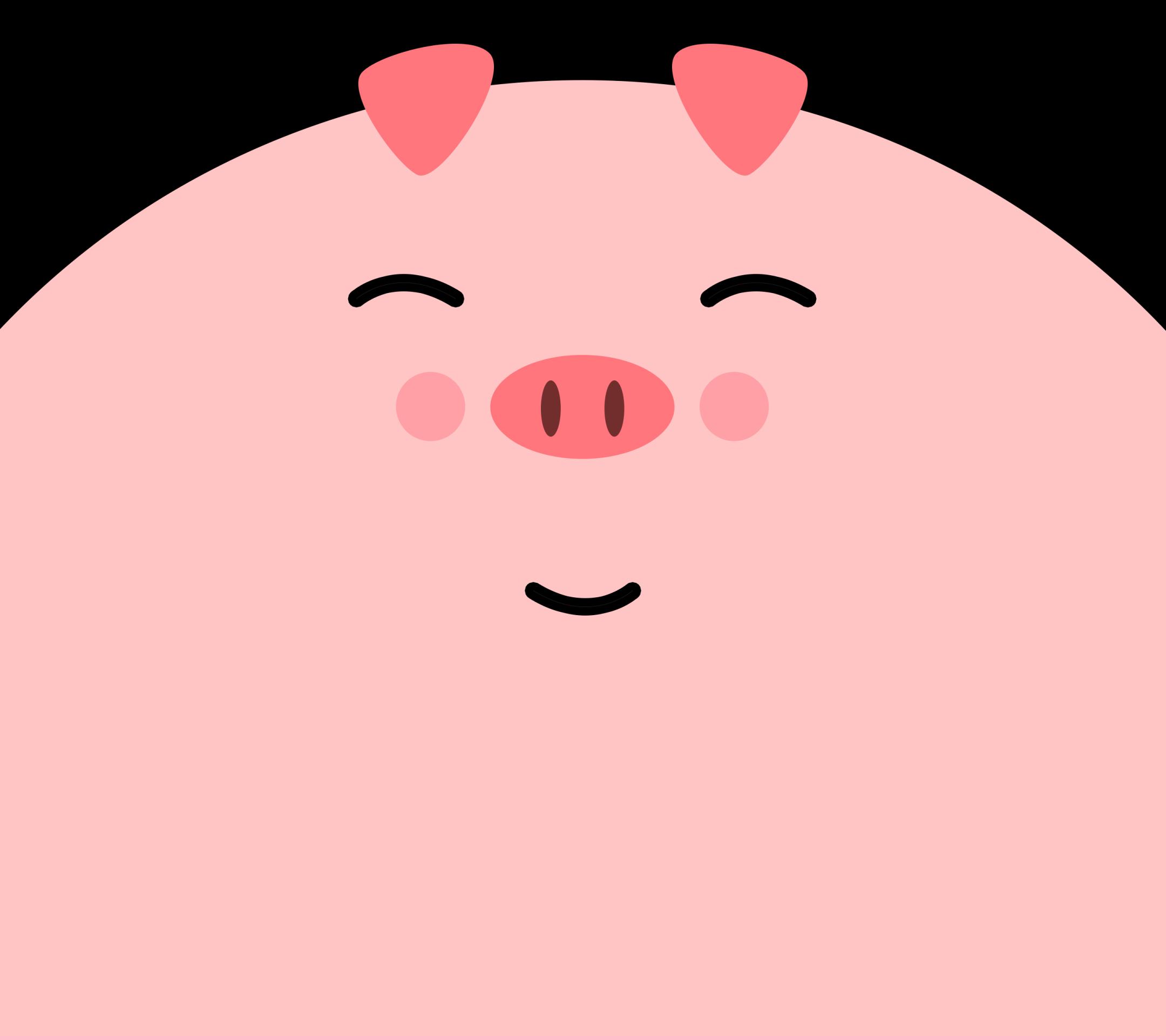 Vivo X21/Y85刘海壁纸(2160 x 1920)第九张