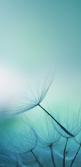 魅族pro7内置壁纸1080p