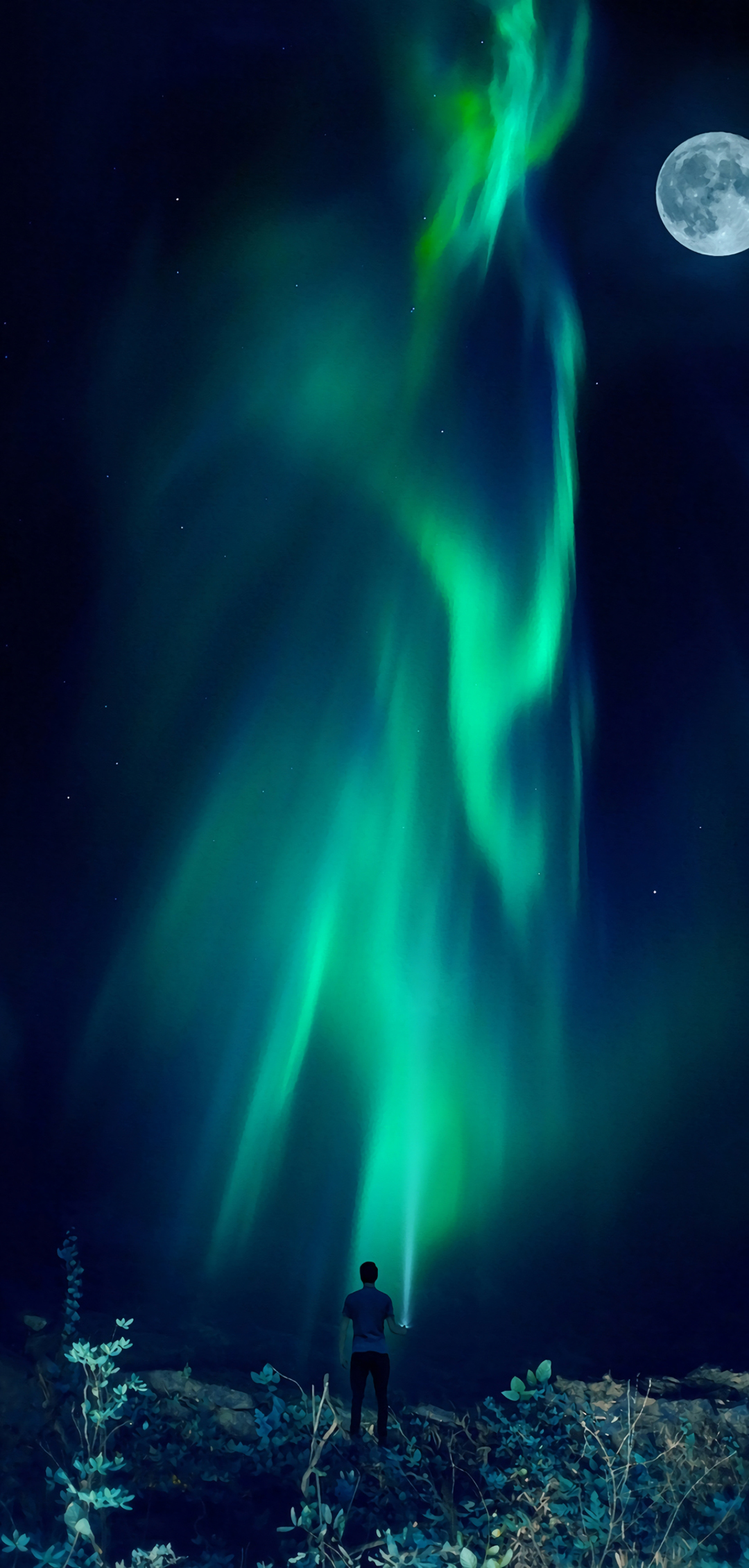 极光全面屏壁纸