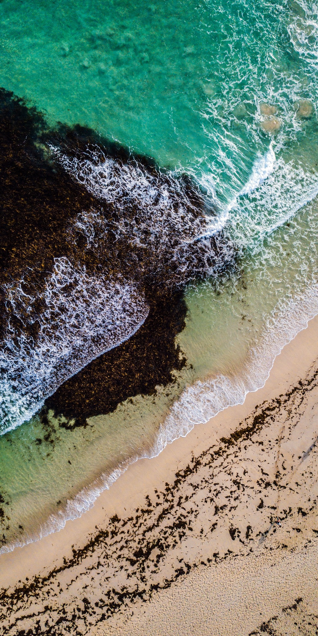 海滩