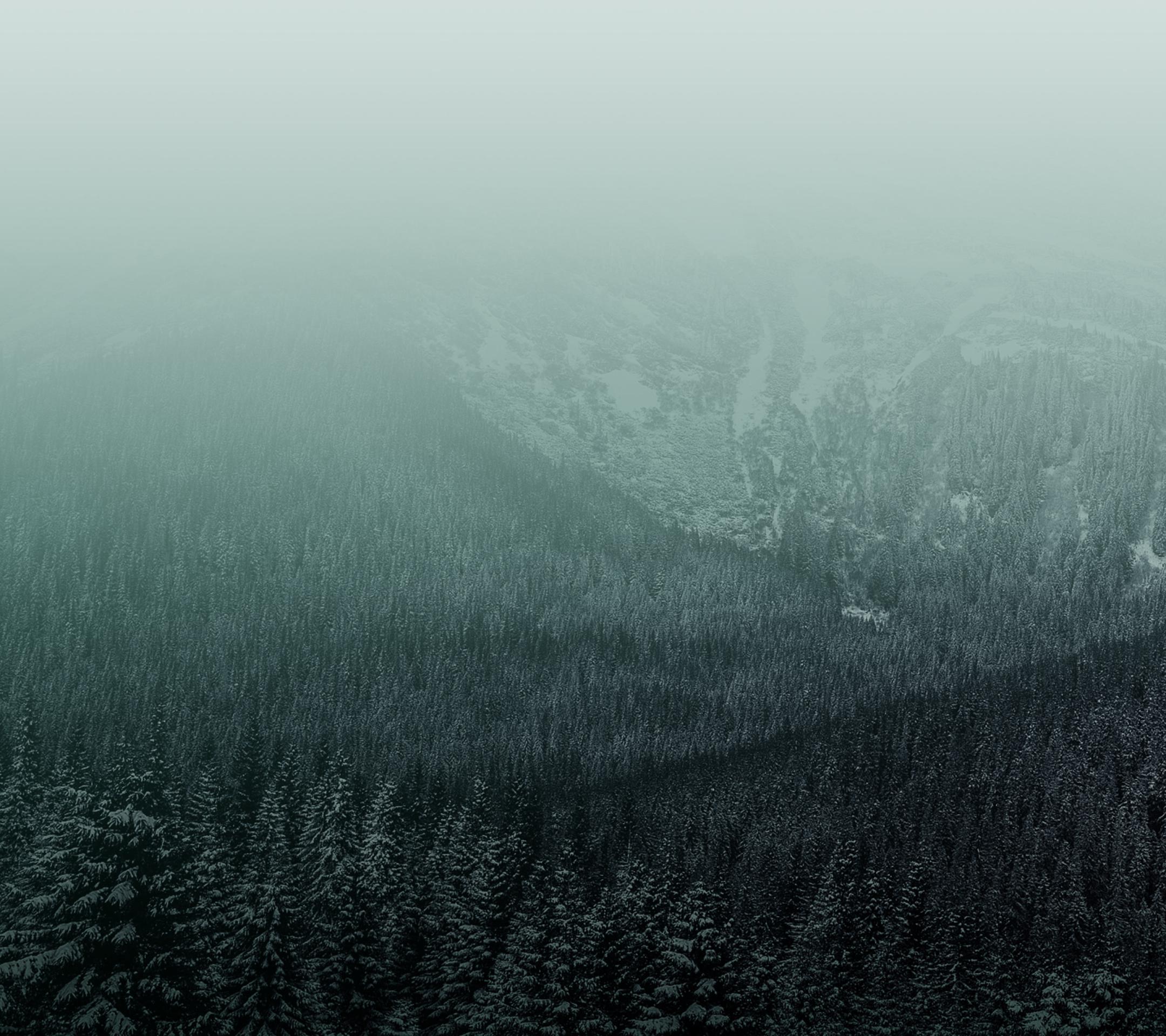 vivo手机精美壁纸原图2160 × 1920（6）