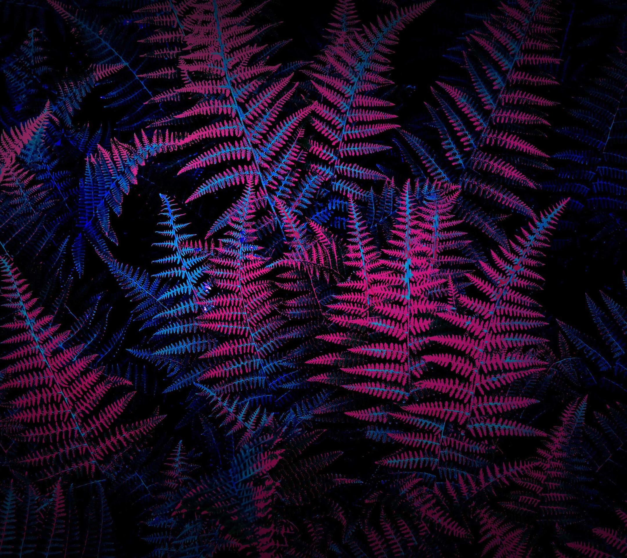 vivo手机精美壁纸 – 2160 × 1920（8）