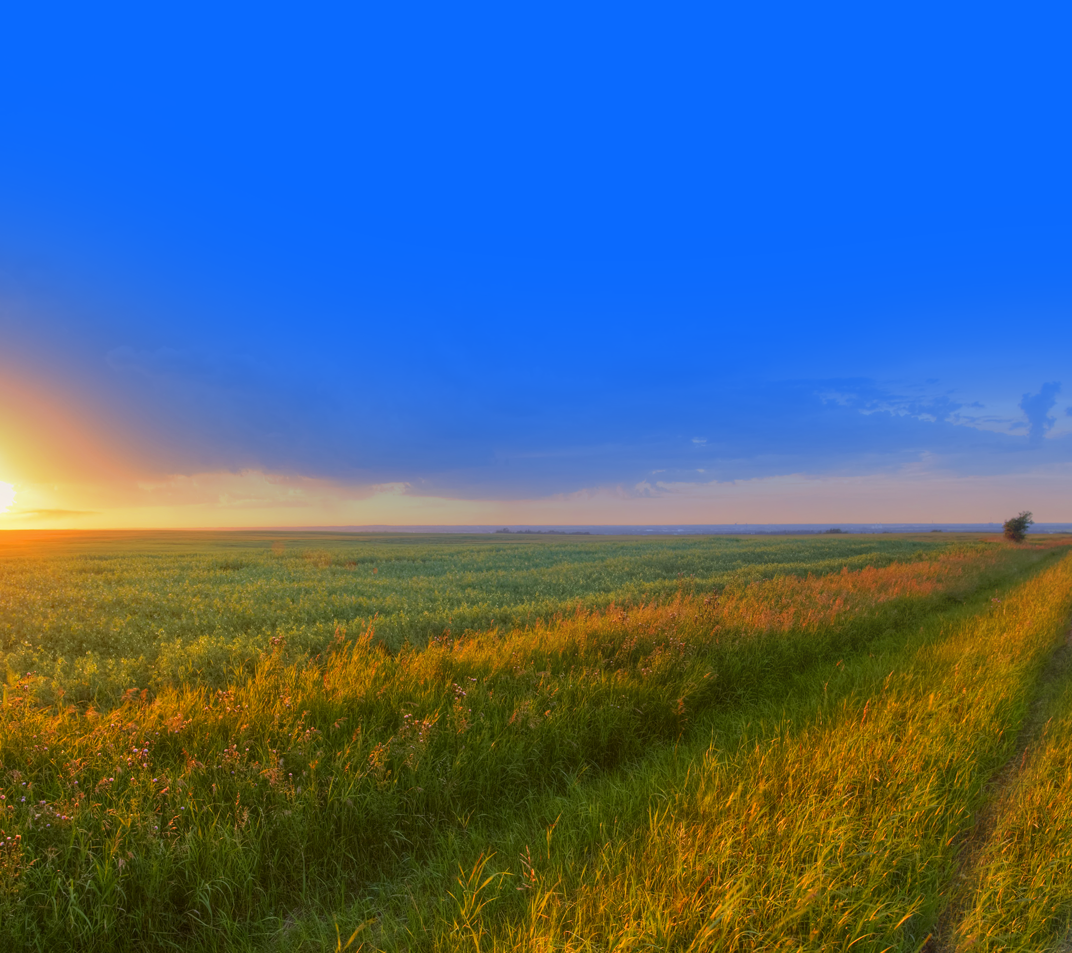 飞利浦手机内置壁纸原图2160×1920（6）