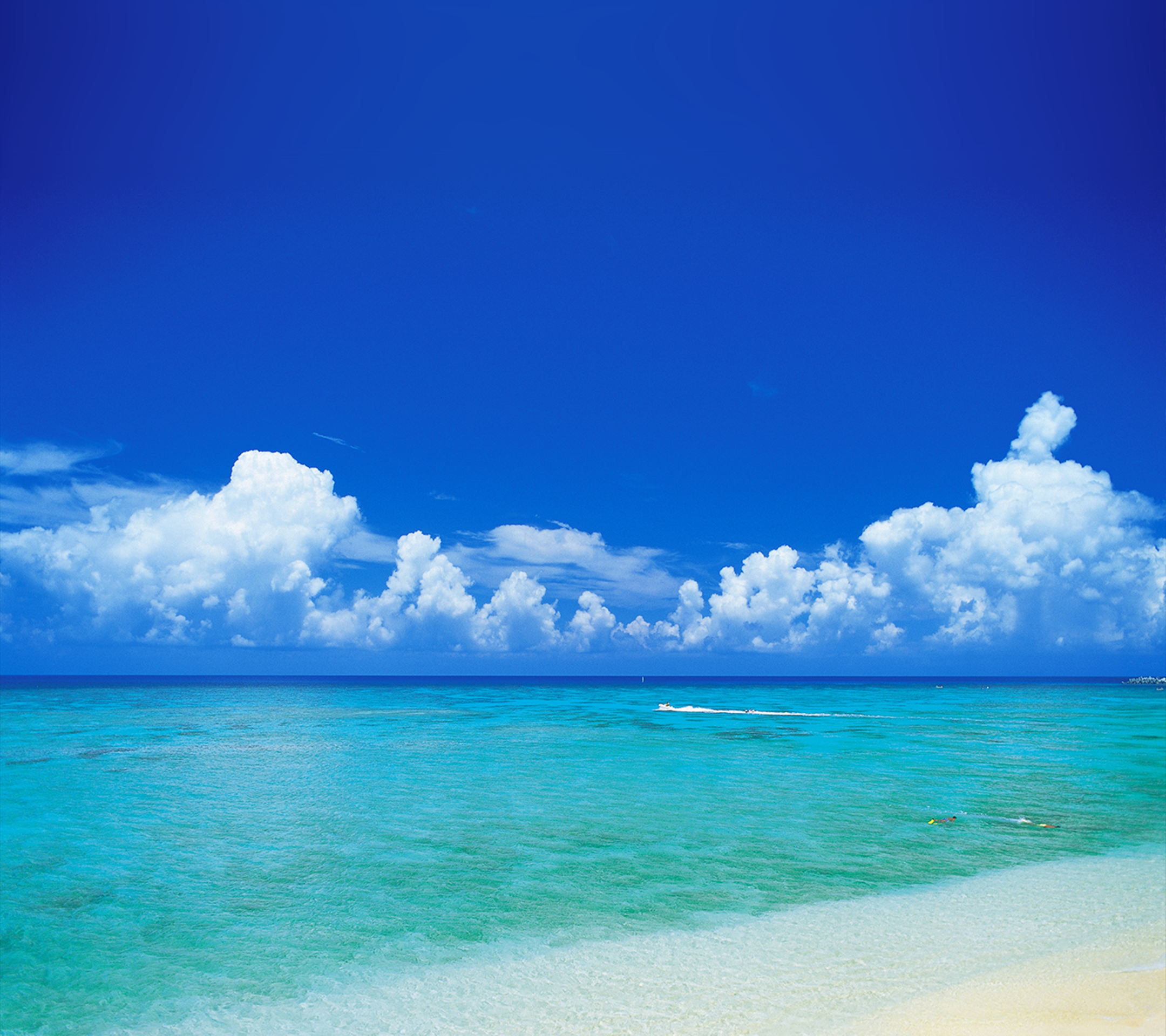 飞利浦手机内置壁纸（1）