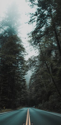 iphoneX分辨率专属壁纸（2436 × 1125）