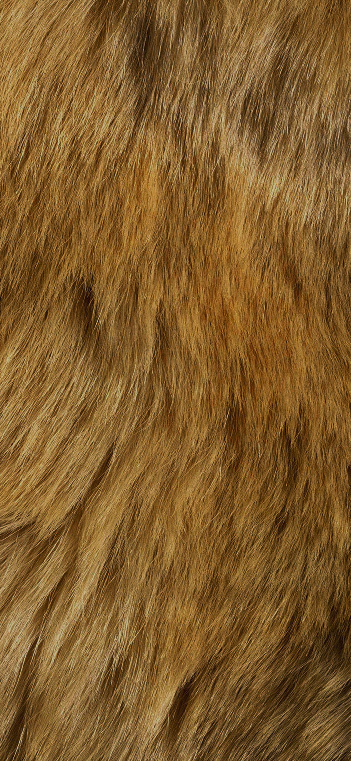 iphoneX屏幕适配壁纸（2436×1125）第十一张