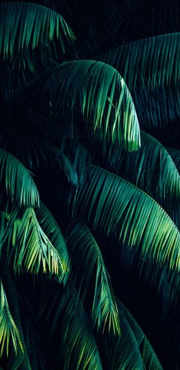 1920x1080手机壁纸（2018.10.18）更新