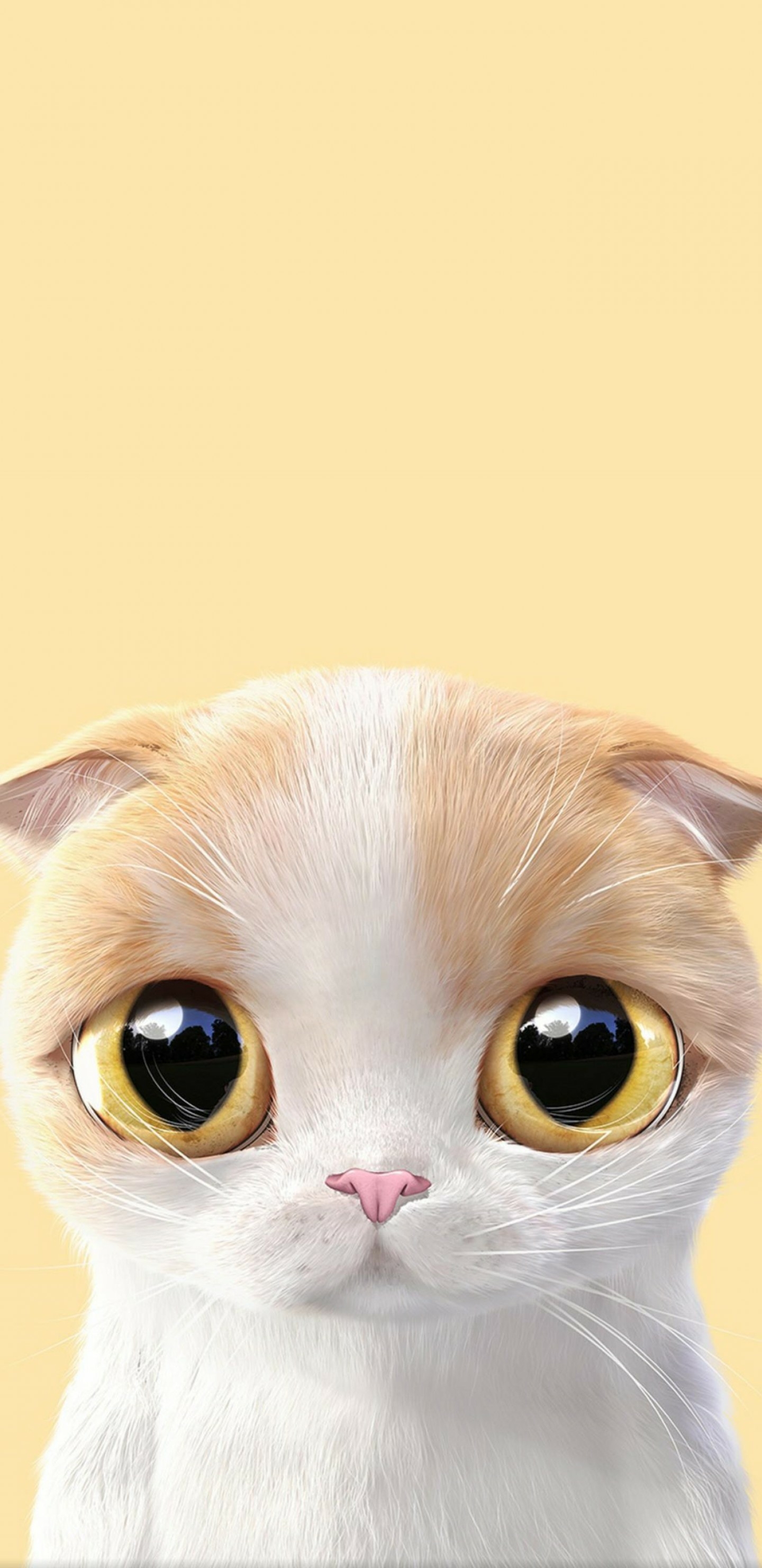 可爱的卡通猫壁纸