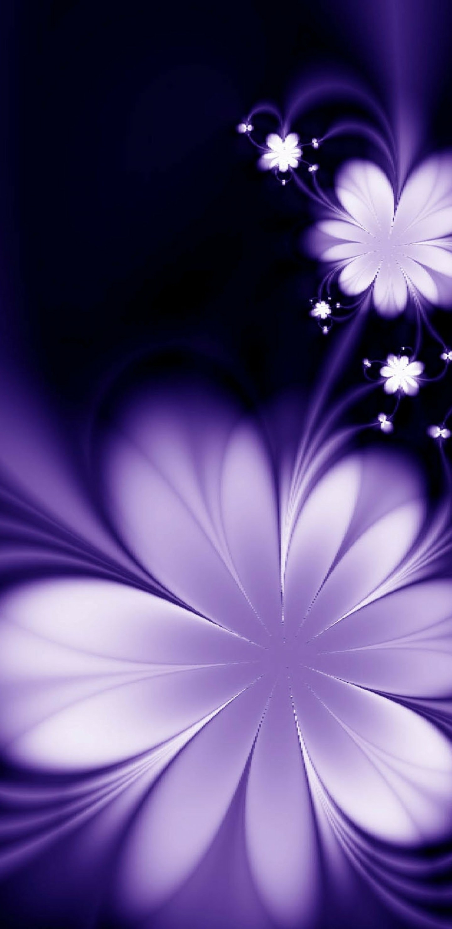 2960×1440 2K手机壁纸 – 设计的花