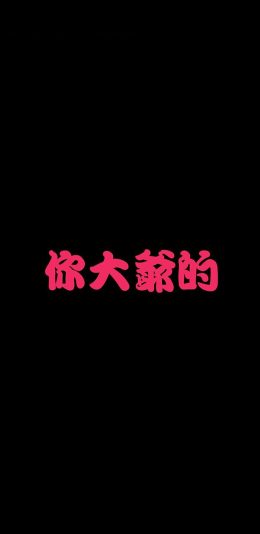 iPhone XS Max, iPhone XS, iPhone X, iPhone XR手机壁纸-你大爷的文字