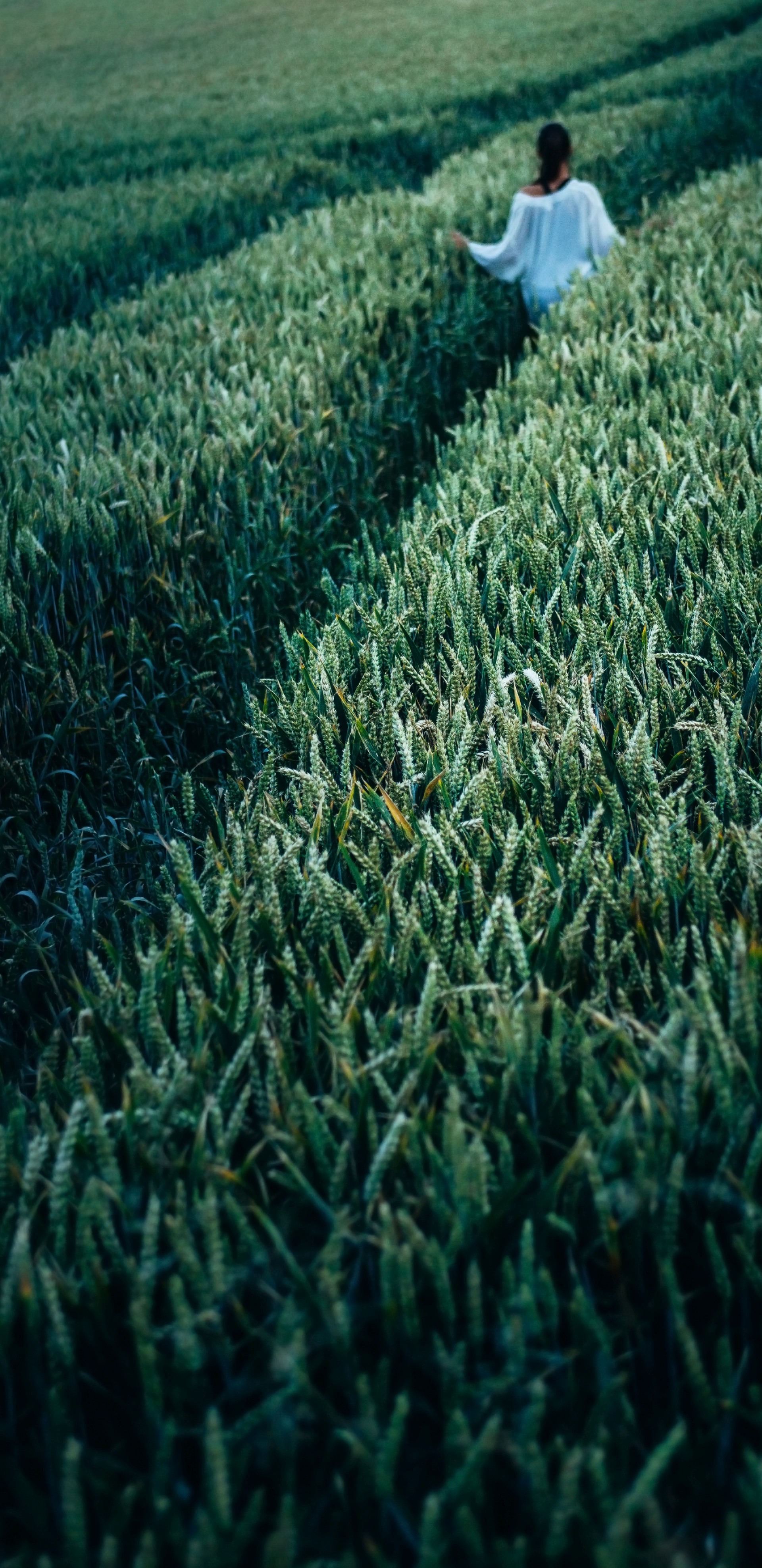 2960×1440手机壁纸-20181102