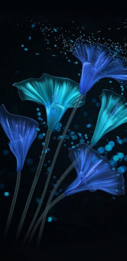 华为荣耀Magic2手机壁纸