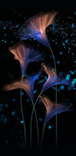 华为荣耀Magic2手机壁纸(2)