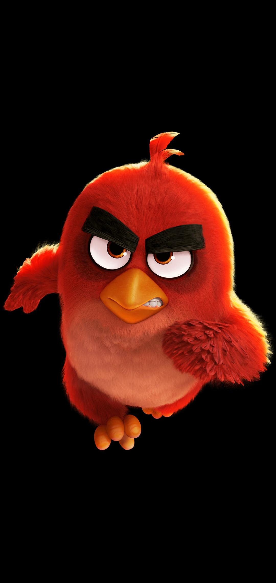 2280×1080手机壁纸|愤怒的小鸟