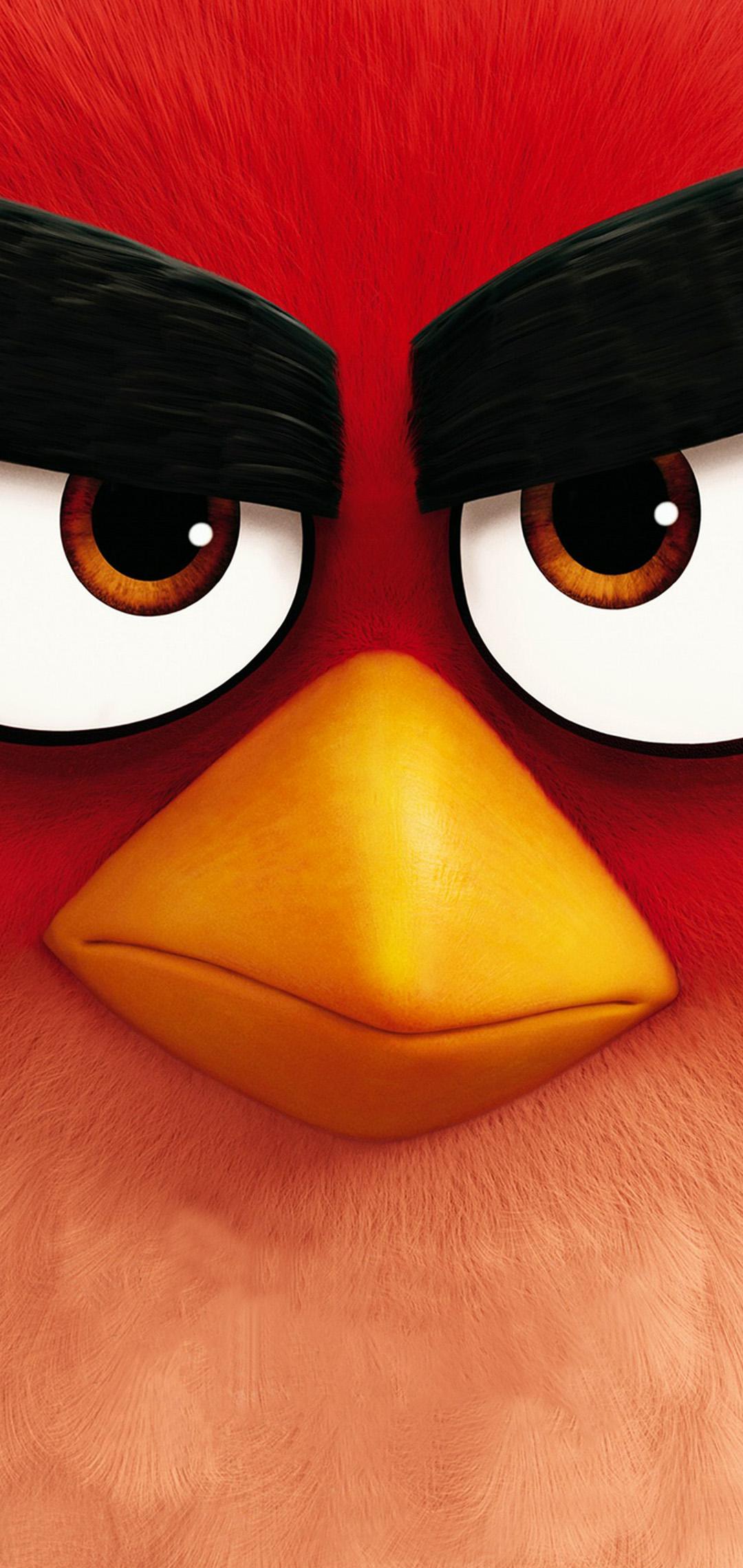 2280×1080手机壁纸-愤怒的小鸟