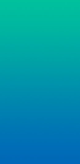 [2340x1080]vivo v11手机壁纸（6）