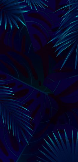 [2340x1080]vivo v11手机壁纸（5）