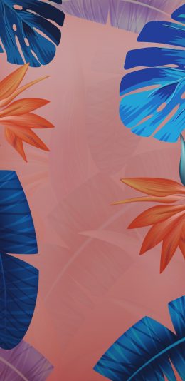 vivo nex手机壁纸