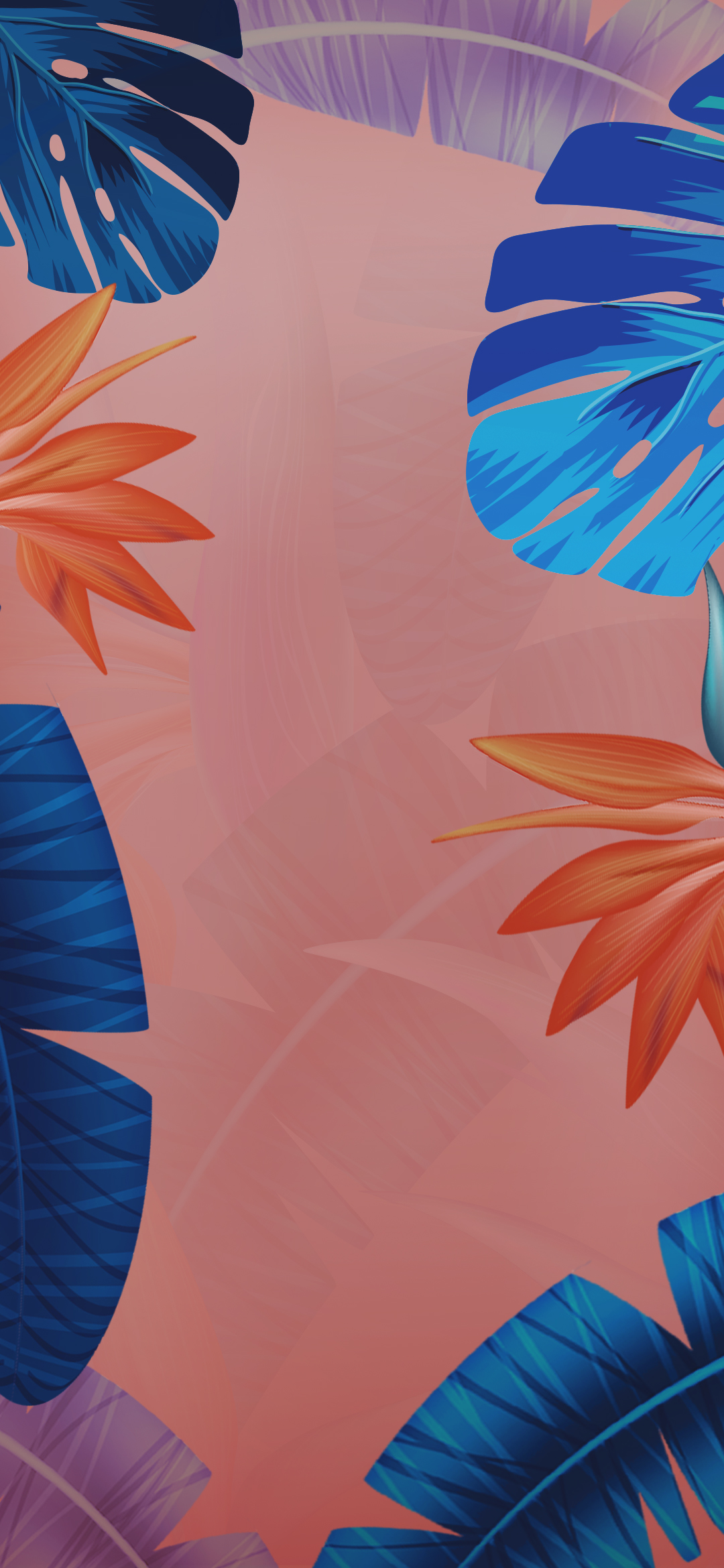 vivo nex手机壁纸