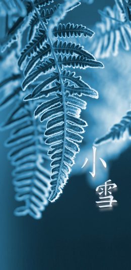 小雪