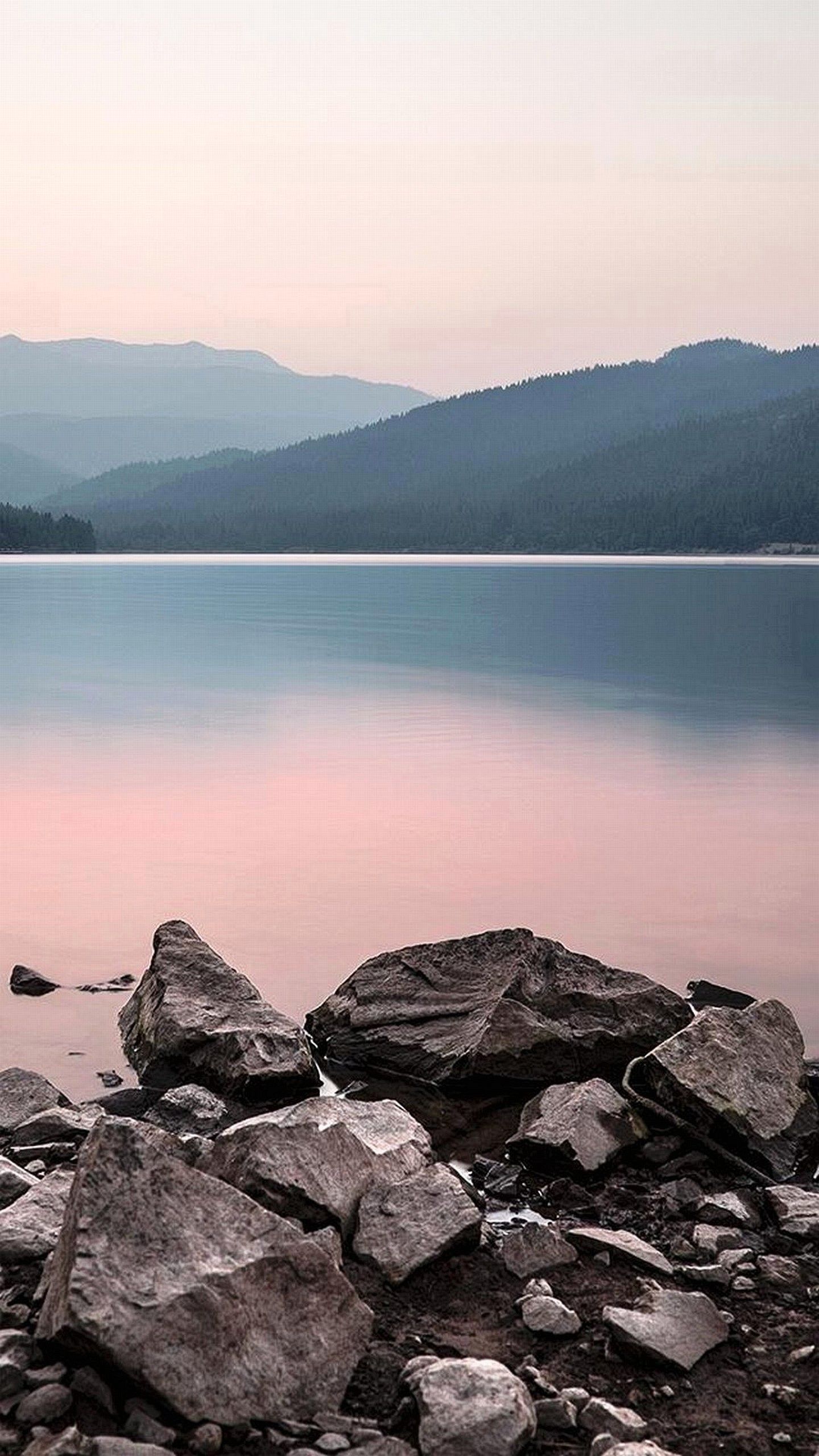 风景
