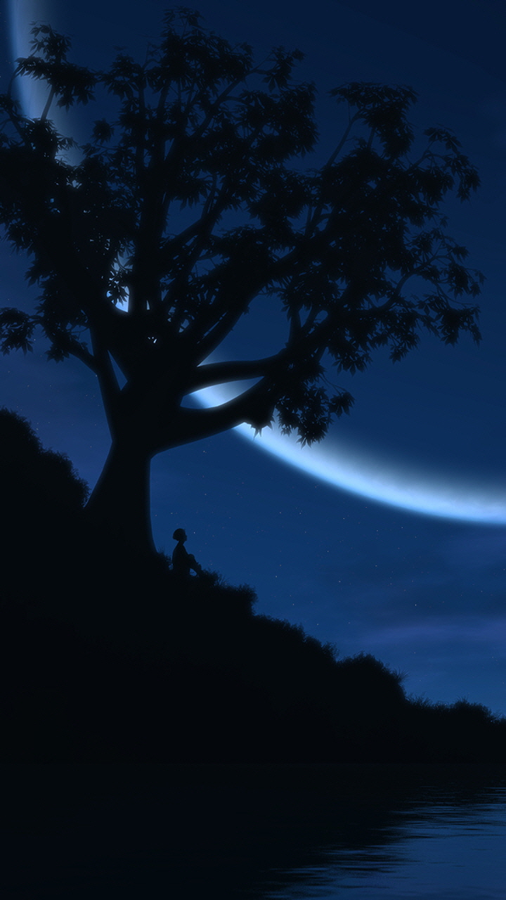 坐在河边看夜景