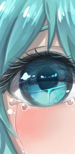 网友上传：动漫壁纸