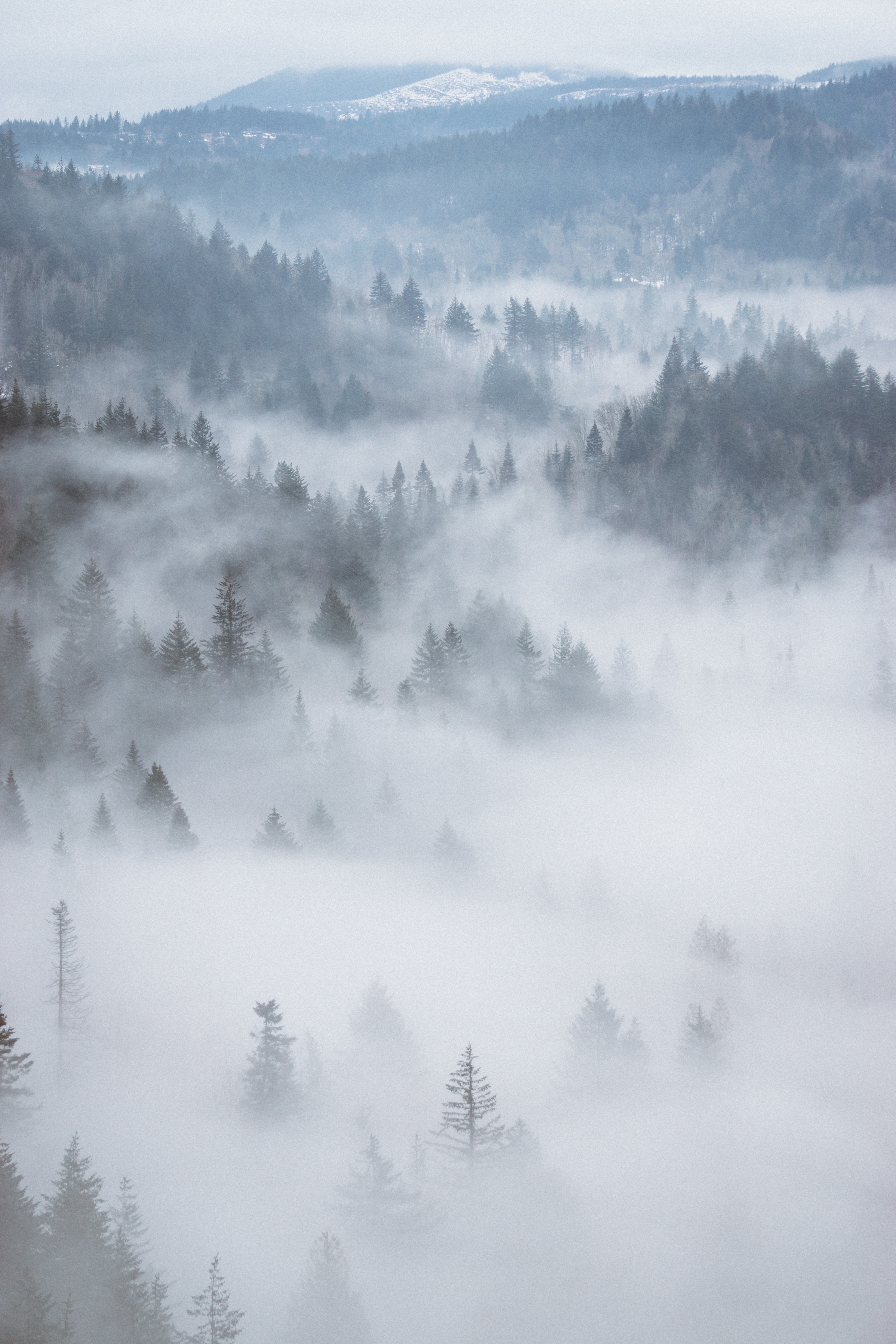 山