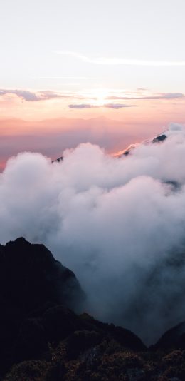 站在山顶