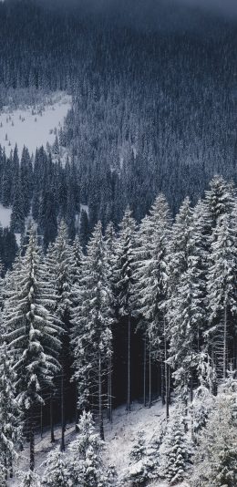 雪山