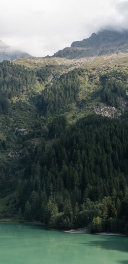 高山